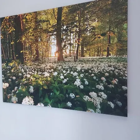 Bei Fiedels Apartman