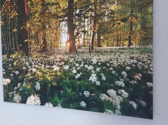 Bei Fiedels Appartement